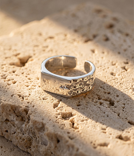 Ringar