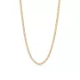 Captena Panzer Golden Chain Halsband Rostfritt Stål DU10016