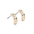 Blomdahl Brilliance Curved Örhängen Titanium 15-13146-01