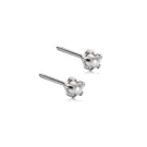 Blomdahl Tiffany Pearl Örhängen Titanium 15-1403-59