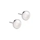 Blomdahl ST Bezel Pearl Örhängen Titanium 15-1406-59