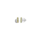 Hasla Blink Citrus Örhängen Silver 3984S0012
