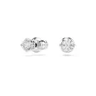 Swarovski Stilla Attract Stud Örhängen Metall 5408436