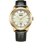 Citizen Eco-Drive Day-Date AW0153-04A