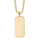 Captena Dogtag Halsband Rostfritt Stål DU10059