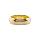 IX Studios Class Ring Guldpläterad Silver DMN0295GD