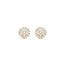 Diamond Dream Rosette Örhängen Guld 0,36 ct. 01-511010