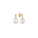 Gaura Natural Pearls Pearl Örhängen Guldpläterad Silver MS24495YE
