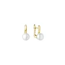 Gaura Natural Pearls Pearl Örhängen Guldpläterad Silver SK25243GYEL