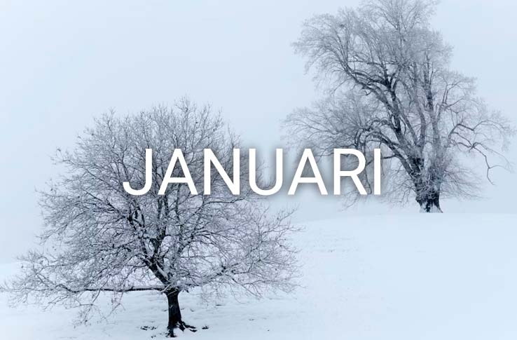 Två träd i snön med texten Januari