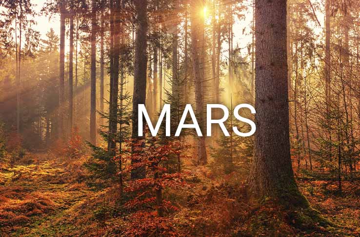 En skog med vårfärger och texten Mars