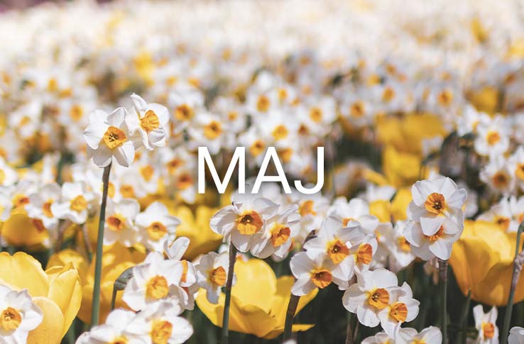 Blommor som spricker ut och texten Maj